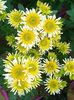 IMG-20231208-WA0049