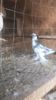 IMG-20231029-WA0018