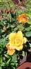 received_873374434279493