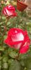 received_360759093315948