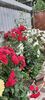 received_890555406188899