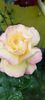 received_1076941990123589