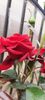 received_745071127653635