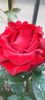 received_1542889696463774