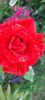 received_1125309155574137