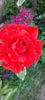 received_1394452658163296