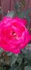 received_803708678178901