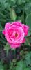 received_329322673358801