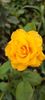 received_1408052316777399
