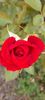 received_4081135812172892