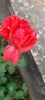 received_1547154369376970
