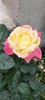 received_1040885840359851