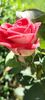 received_869915751584101