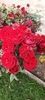 received_205364695963799