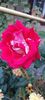 received_1117833056204551