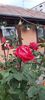 received_1879610002496330