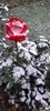 received_664902142518036