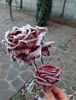 received_732392988814547