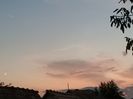 Img.2023.08.20