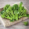 Brassica Oleracea San Marzano