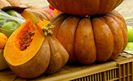 Cucurbita Muscade de Provence
