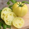 Solanum Lycopersicum White Beauty.