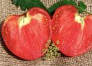 rosii-inima-bou-romanesti-