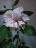 IMG20231123075335