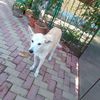 IMG-20230928-WA0011