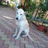 IMG-20230928-WA0013