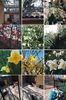 IMG-20230929-WA0005