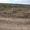 IMG-20231001-WA0009