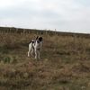 IMG-20231001-WA0010