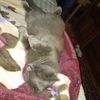 IMG-20231009-WA0006