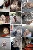 IMG-20231013-WA0004
