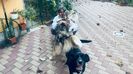 IMG-20231015-WA0017
