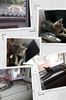 IMG-20231017-WA0005