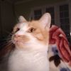 IMG-20231017-WA0012