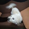 IMG-20231030-WA0005