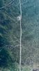 IMG-20231217-WA0002