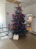 IMG-20231220-WA0011