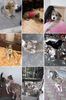 IMG-20231221-WA0000