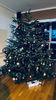 IMG-20231222-WA0000