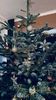 IMG-20231222-WA0002