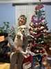 IMG-20231225-WA0021