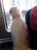 IMG-20231228-WA0006