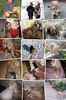 IMG-20240103-WA0004