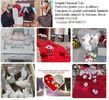 Decor Drobeta Turnu Severin