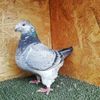 115921047_NUZWJOP3