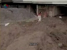 stream.php_000885662